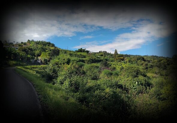 le-village-bel-air-1280x850