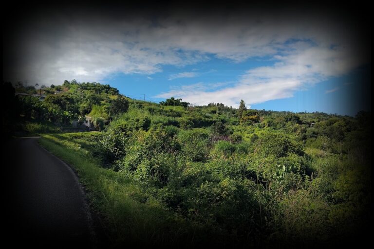 le-village-bel-air-1280x850