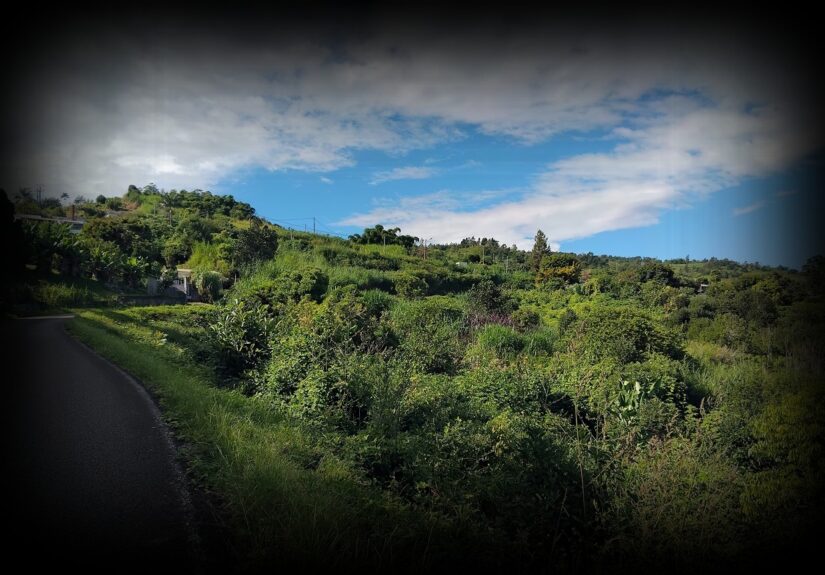 le-village-bel-air-1280x850